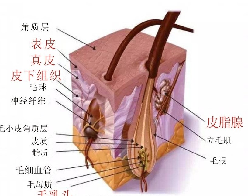 0886088724256541_b_副本.jpg