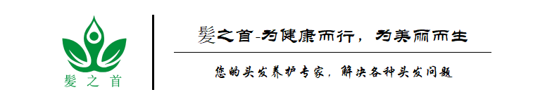 文章开头.png