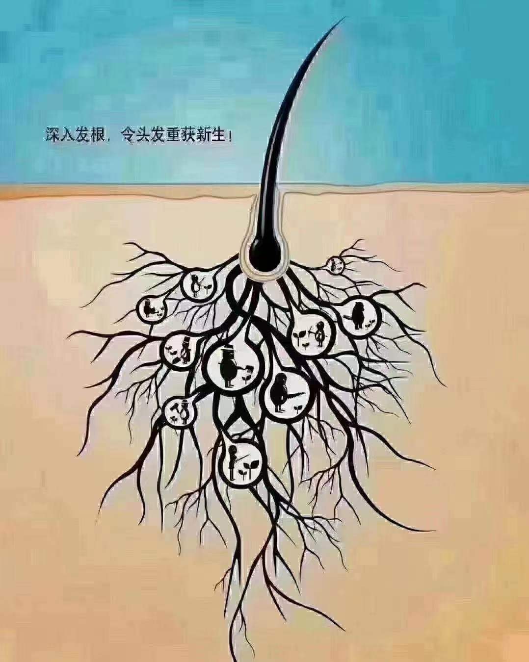 1617243483629468.jpg 微信图片_20210401100350.jpg