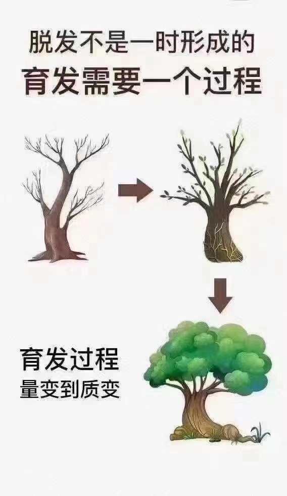 1617243526825478.jpg 微信图片_20210401100358.jpg